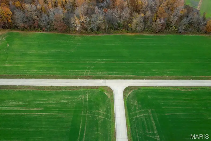 320 Bertha E Dumey Drive, Benton, MO 63736 - Image #3