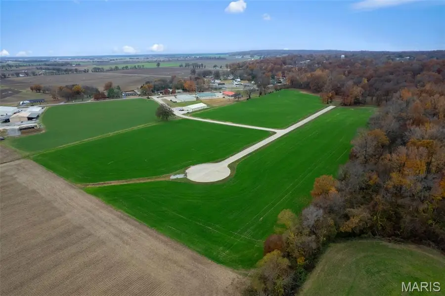 330 Bertha E Dumey Drive, Benton, MO 63736 - Image #3