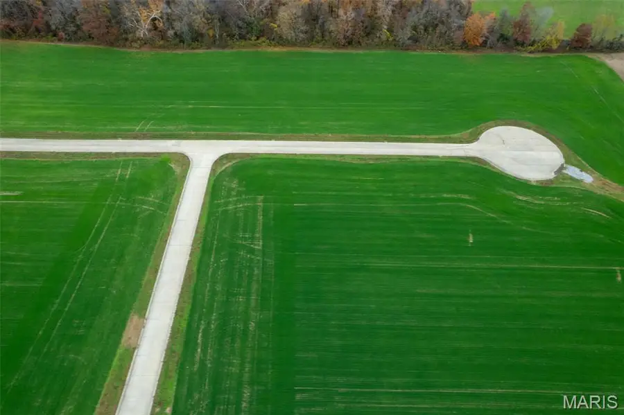 325 Bertha E Dumey Drive, Benton, MO 63736 - Image #2