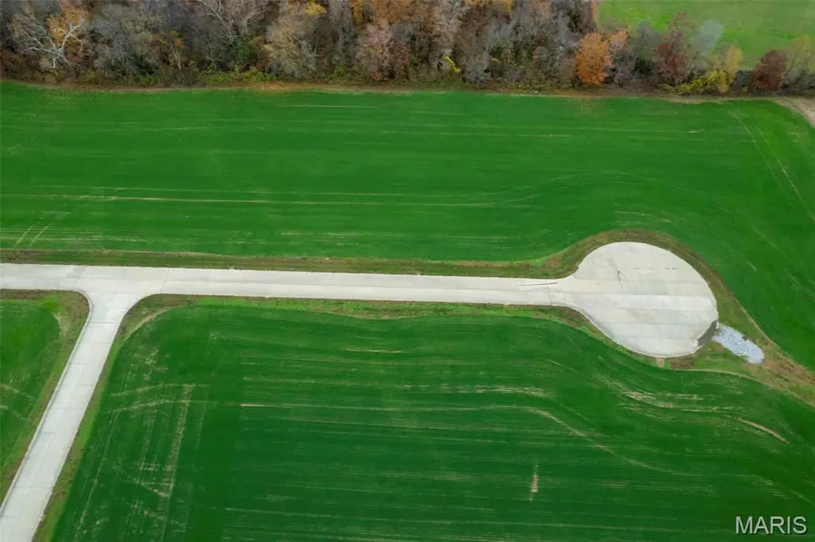 325 Bertha E Dumey Drive, Benton, MO 63736 - Image #3