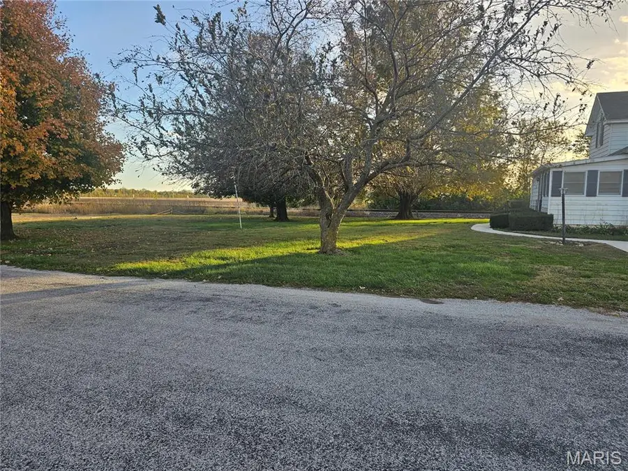 161 Main Street, Fults, IL 62244 - Image #3