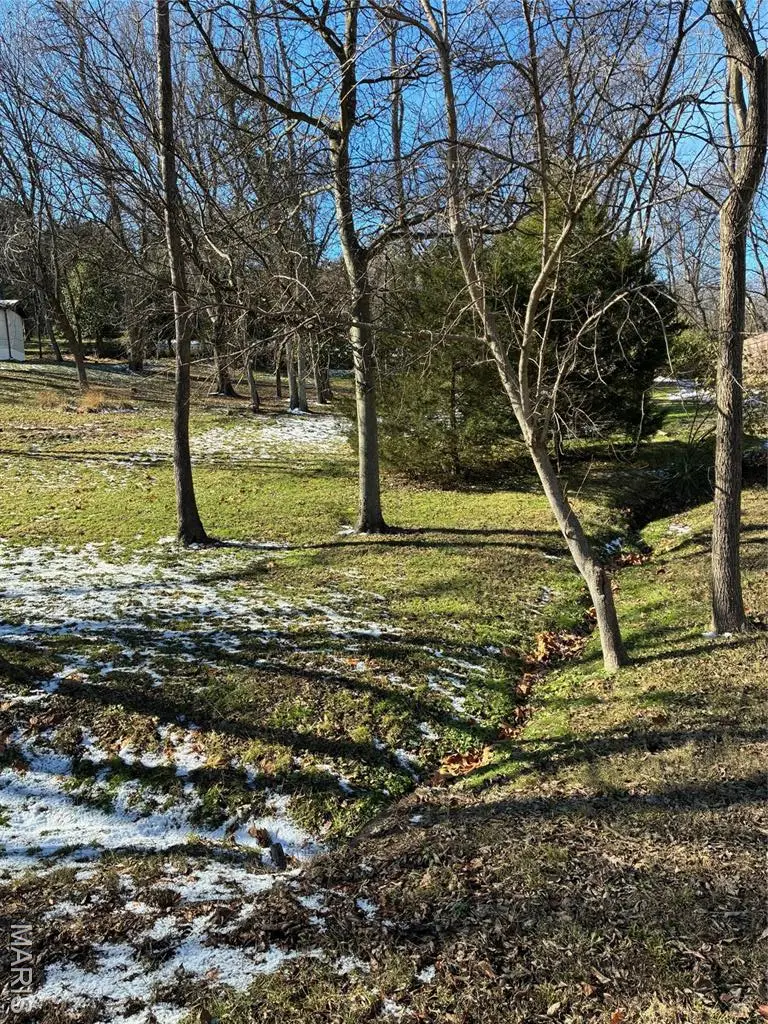 1692 Juanita Drive, Barnhart, MO 63012 - Image #3