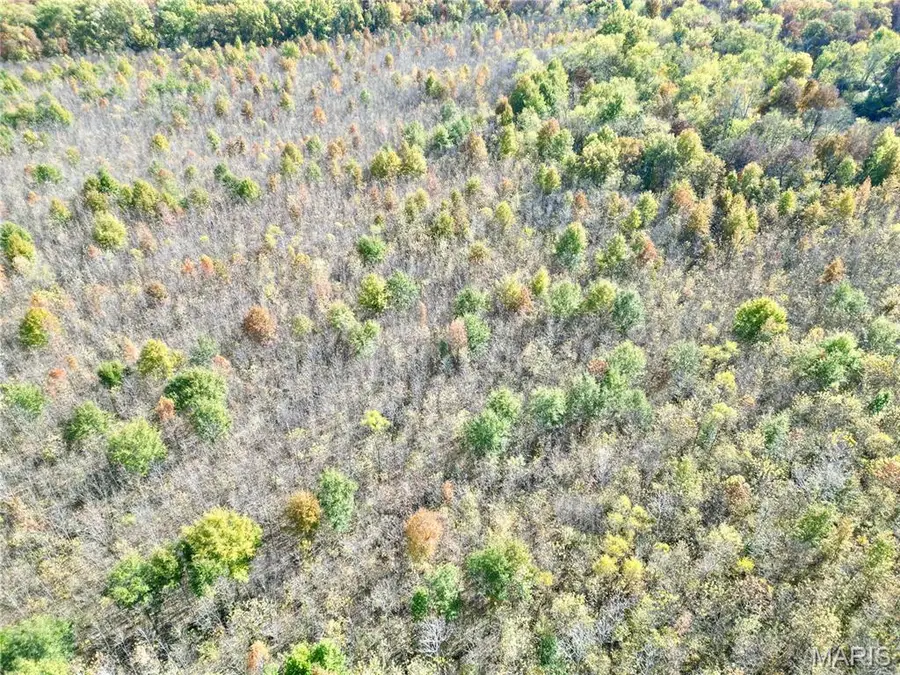 00 East Elbow Lane, Olney, IL 62450 - Image #2