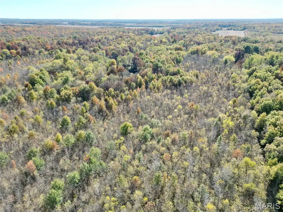 00 East Elbow Lane, Olney, IL 62450 - Image #3