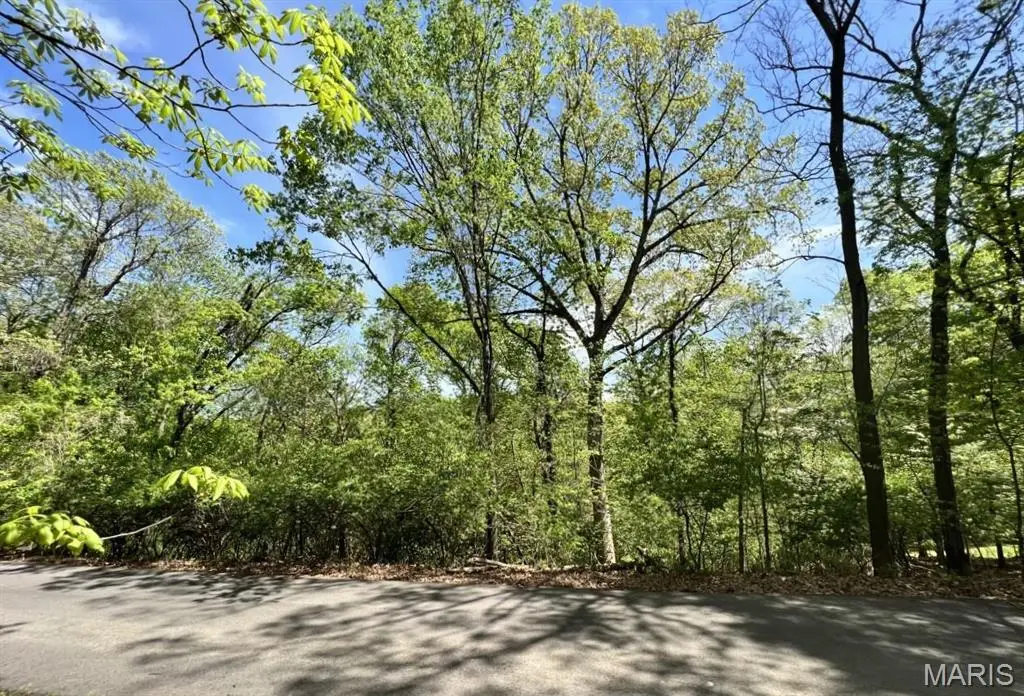 1032 Chesterfield Forest, Wildwood, MO 63005 - #1