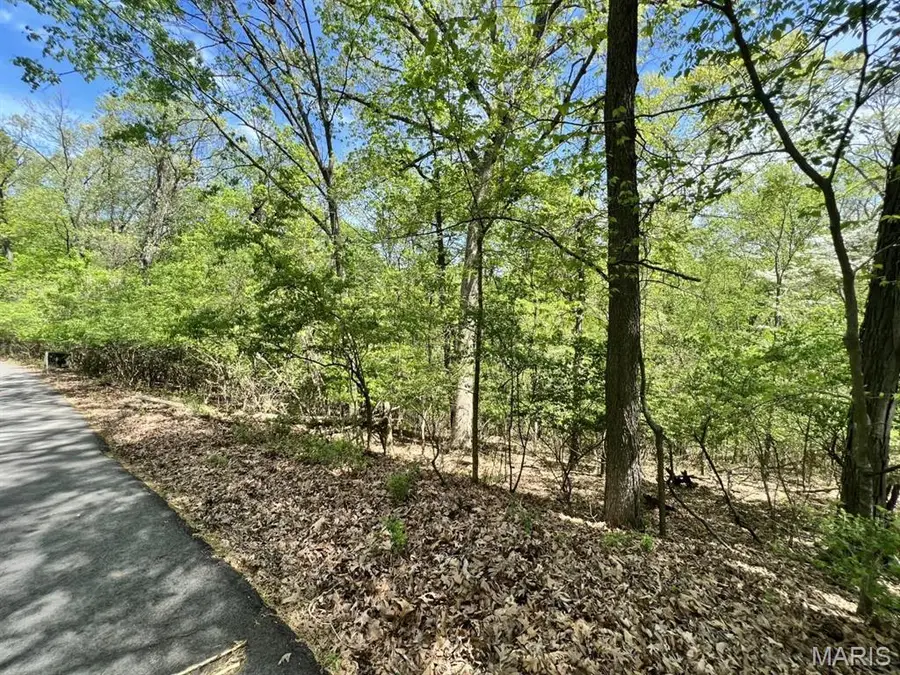 1032 Chesterfield Forest, Wildwood, MO 63005 - #2