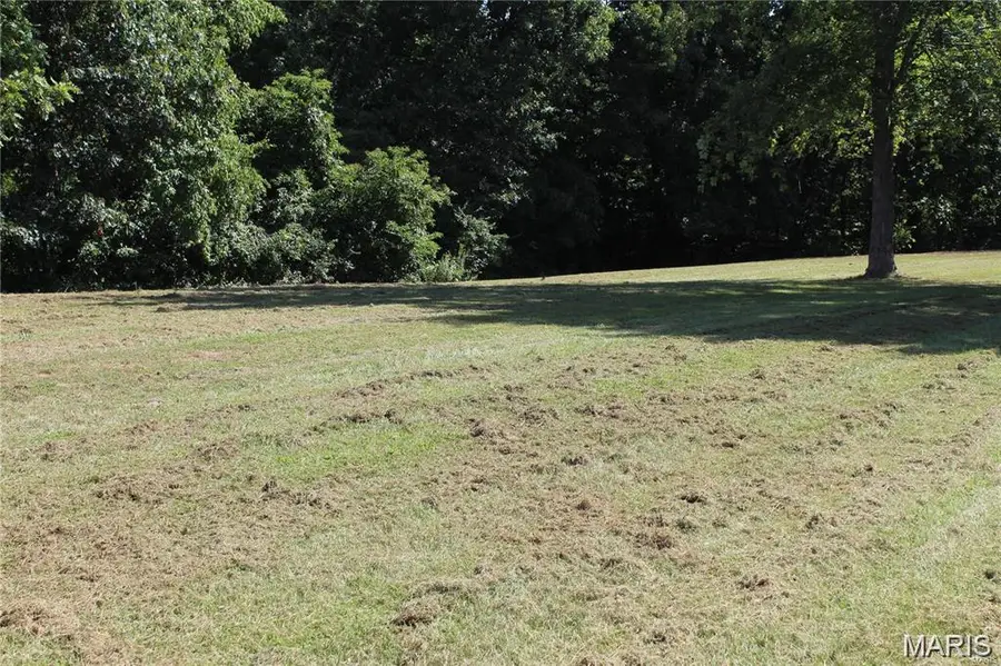 16677 Oak Bridge Road, Brighton, IL 62012 - Image #2