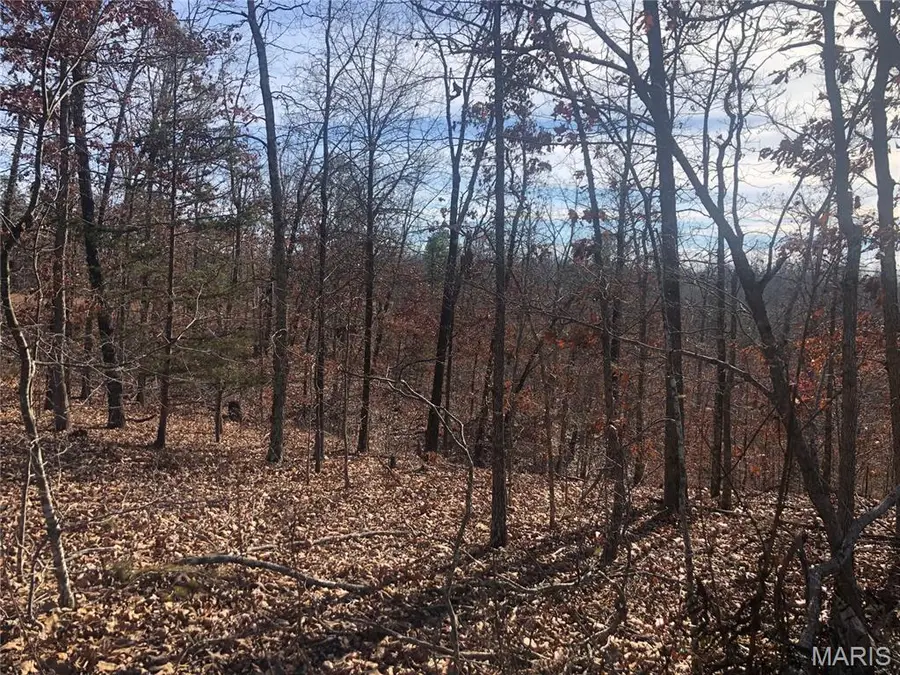 000 Highway K, Jadwin, MO 65501 - Image #2