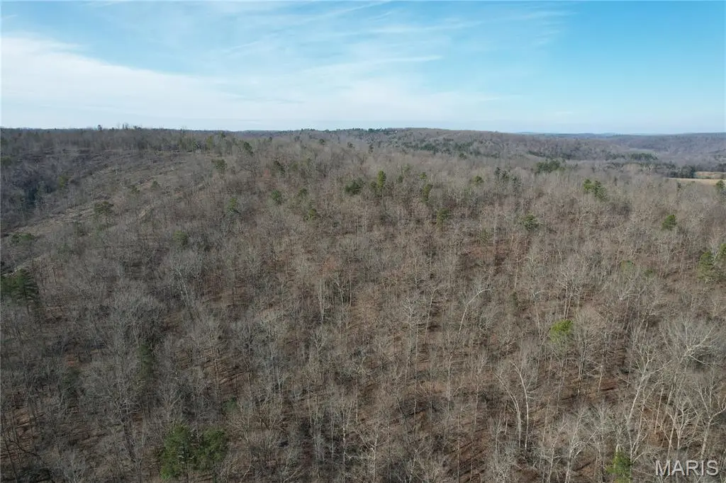 10535 Hwy 67, Fredericktown, MO 63645 - Image #1