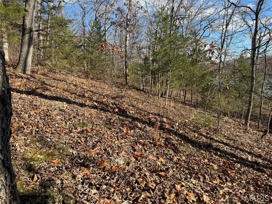 251 Shepard Lane, Calvey, MO 63069 - Image #3