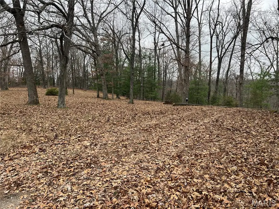 0 Cherokee Drive, Perryville, MO 63775 - Image #2