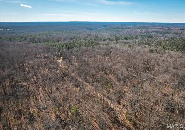 0 Deason Drive-tract 1, Licking, MO 65542