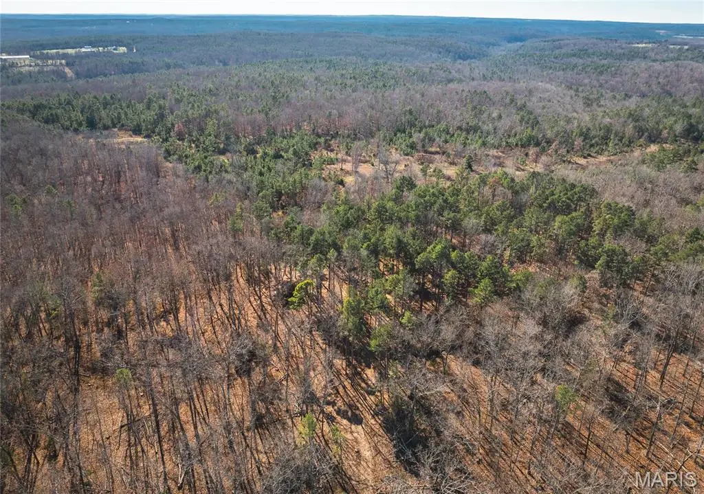 0 Deason Drive-tract 2, Licking, MO 65542 - Image #1