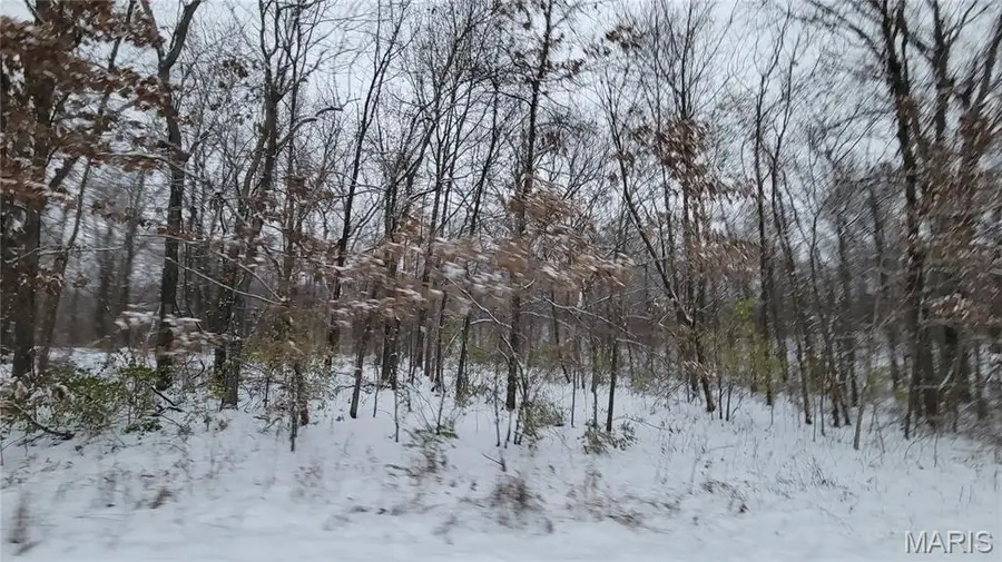 Tract 2 Valley Farm Lane, Warrenton, MO 63383 - Image #2