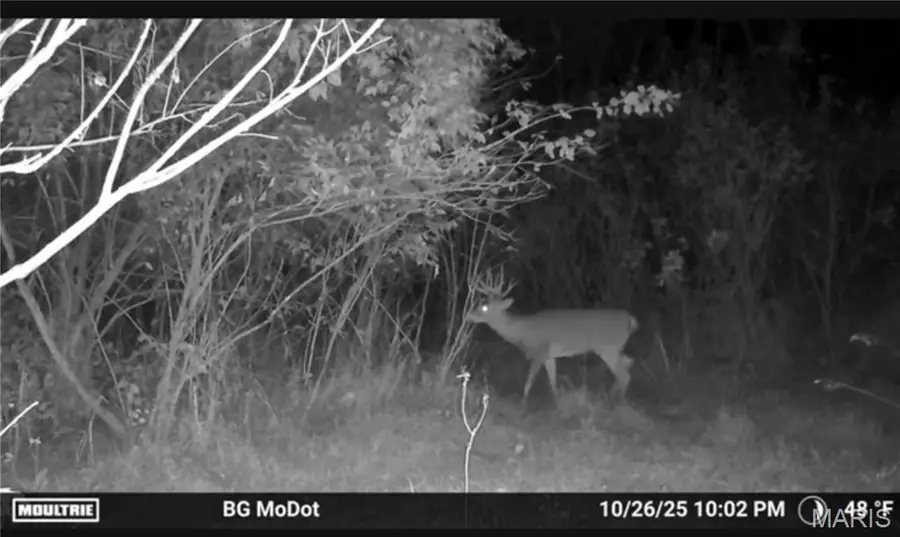 00 Highway U, Bowling Green, MO 63334 - Image #3