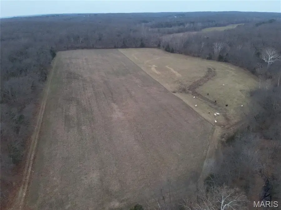 0 Trainer, Bland, MO 65014 - Image #2