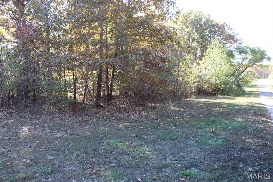 TBD Sandpiper Lane, Fairdealing, MO 63939 - Image #3