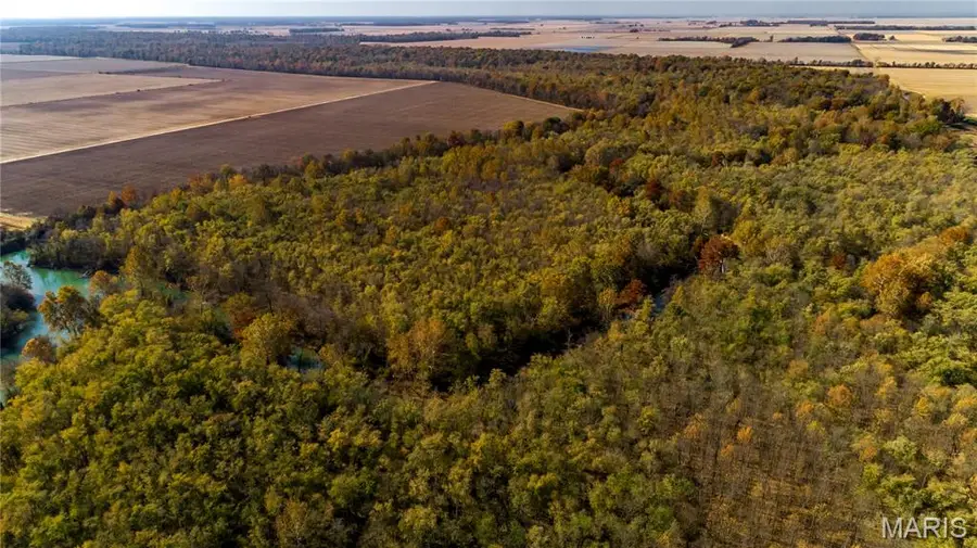 TBD N North Of Cr, Qulin, MO 63961 - Image #3