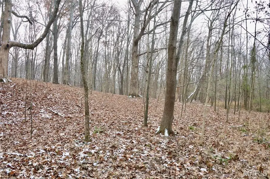 00 North Maysville Lane, Mount Vernon, IL 62864 - Image #3