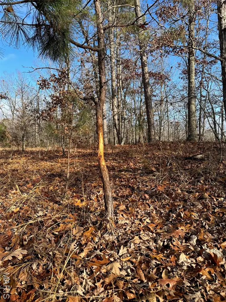 TBD County Road 118, Annapolis, MO 63620 - Image #2