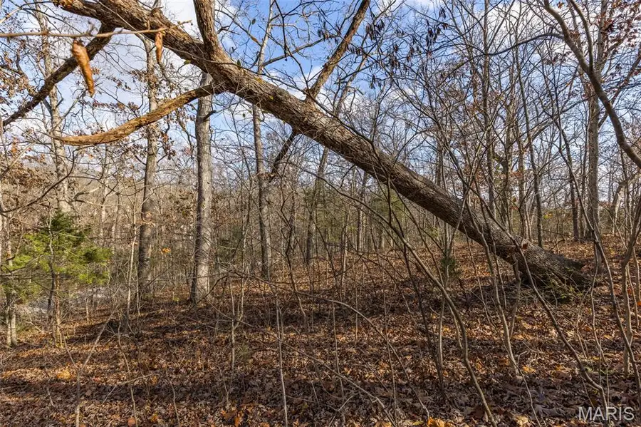 6110 Shenandoah Drive, Hillsboro, MO 63050 - Image #2