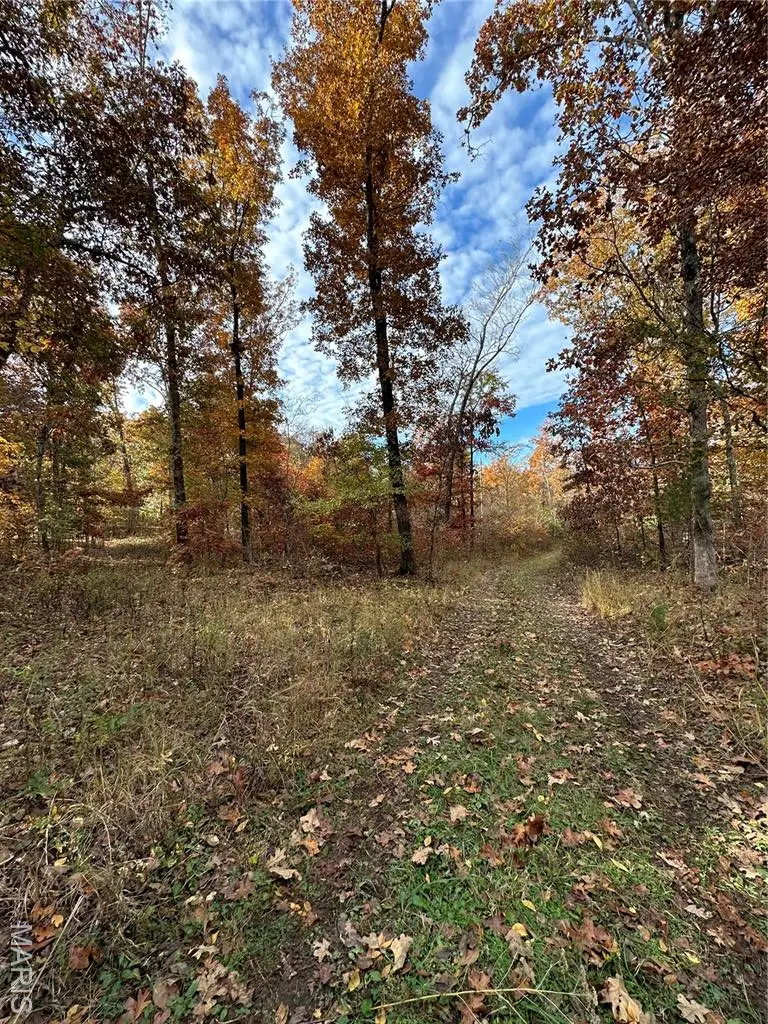 TBD Tract 1 Bobwhite Lane, Fairdealing, MO 63939 - Image #2