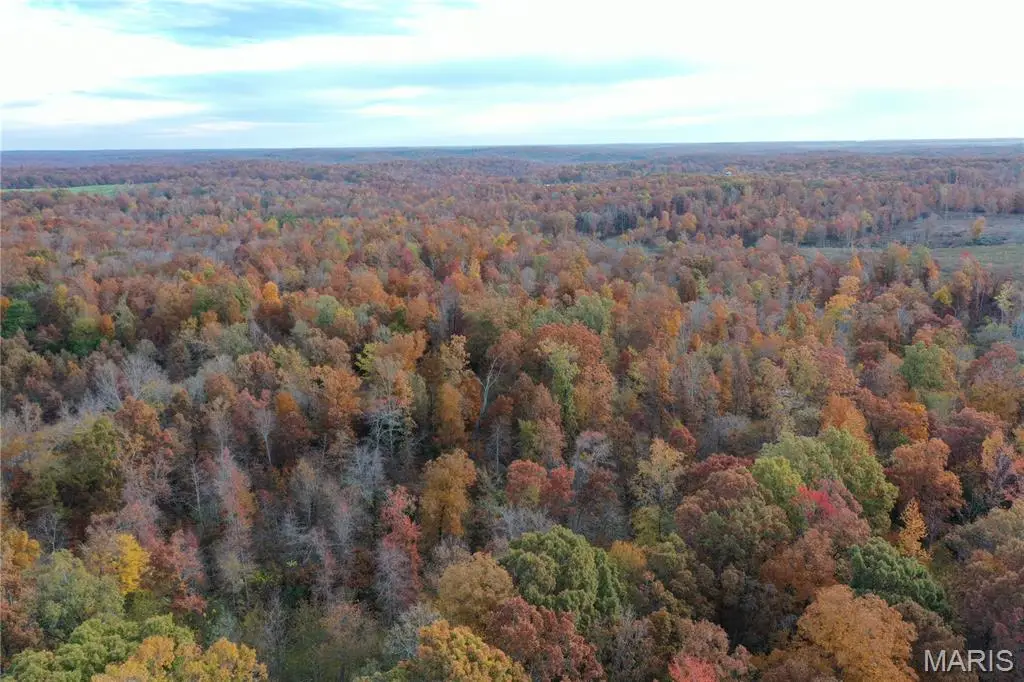 TBD Tract 3 Bobwhite Lane, Fairdealing, MO 63939 - Image #1