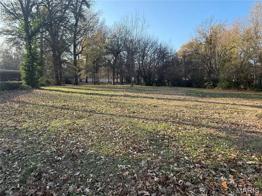 501 College Avenue, Kennett, MO 63857 - Image #2