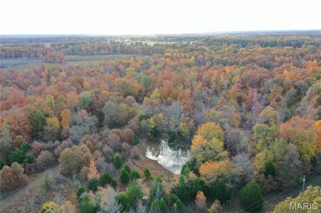 TBD Tract 2 Bobwhite Lane, Fairdealing, MO 63939 - Image #1