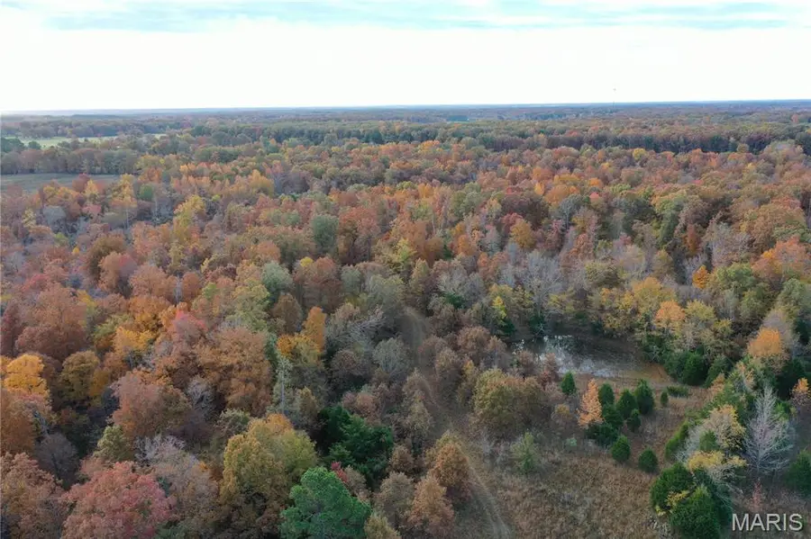 TBD Tract 2 Bobwhite Lane, Fairdealing, MO 63939 - Image #3