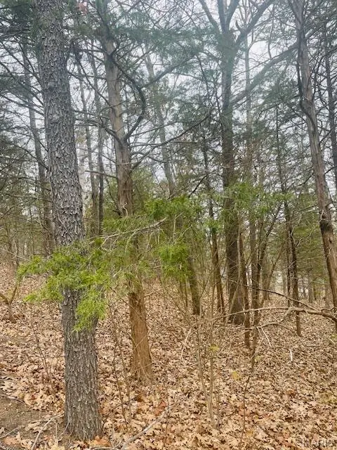 0 West Forest Lane, Owensville, MO 65066 - Image #2