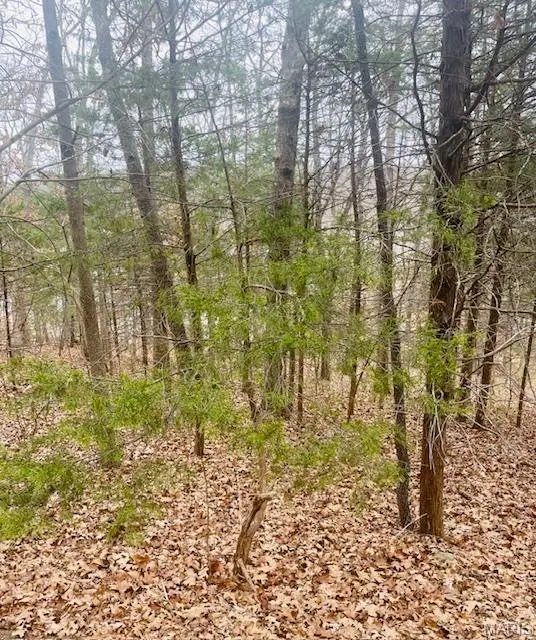 0 West Forest Lane, Owensville, MO 65066 - Image #3