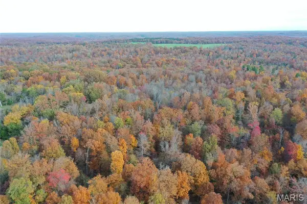 TBD Tract 5 Bobwhite Lane, Fairdealing, MO 63939