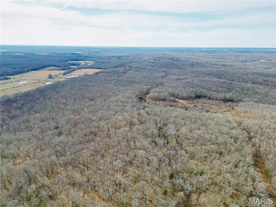 5+/- Acres State Highway C, Rolla, MO 65401 - #3