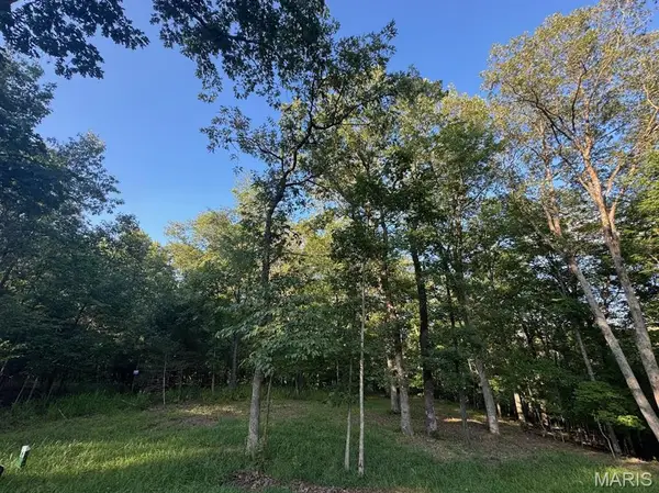 190 Steeple Point Dr. Lot #6 Drive, Defiance, MO 63341