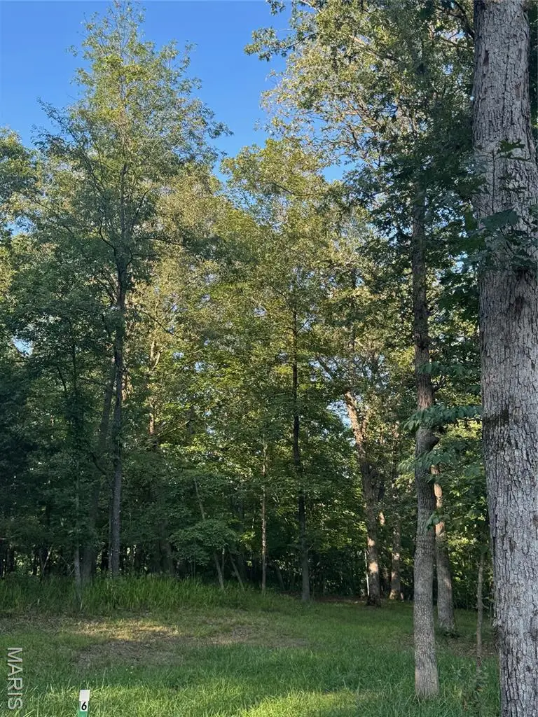 190 Steeple Point Dr. Lot #6 Drive, Defiance, MO 63341 - Image #2