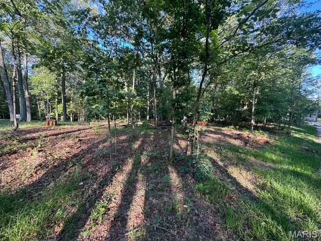 180 Steeple Point Dr. Lot #7 Drive, Defiance, MO 63341 - Image #2