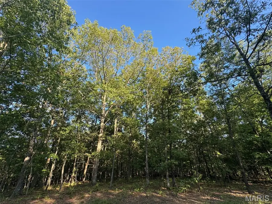 150 Steeple Point Dr. Lot #10 Drive, Defiance, MO 63341 - #2