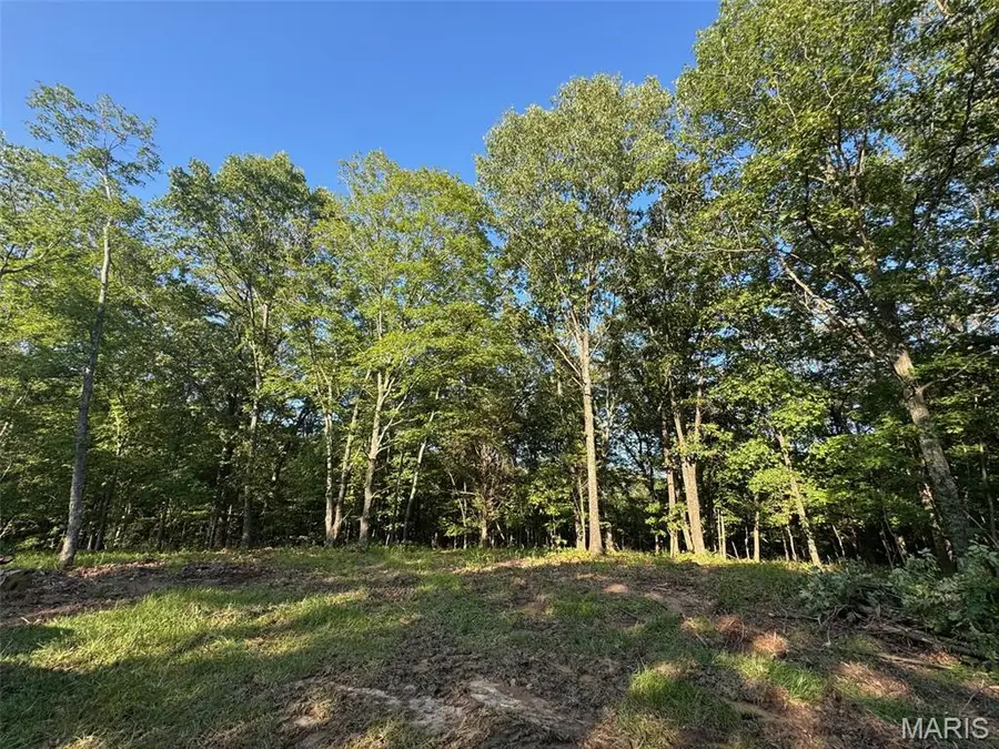 150 Steeple Point Dr. Lot #10 Drive, Defiance, MO 63341 - #3