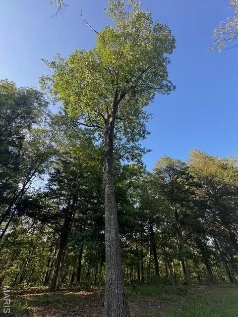 130 Steeple Point Dr. Lot #12 Drive, Defiance, MO 63341 - Image #3