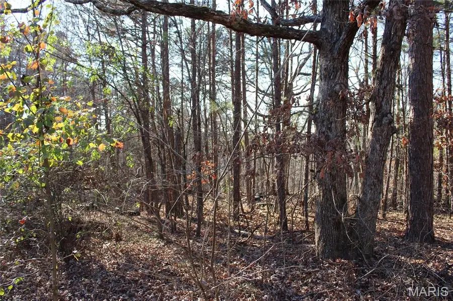 202 Mountain Ash Lane, Poplar Bluff, MO 63901 - Image #3