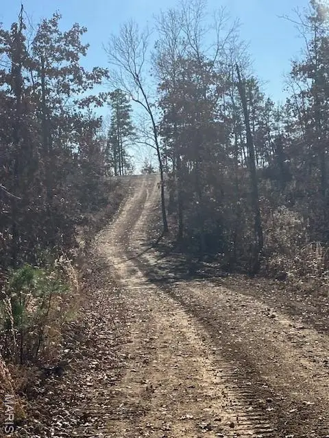 177 Madison Cr 410, Fredericktown, MO 63645 - Image #3