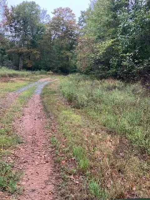 178 Madison Cr 410, Fredericktown, MO 63645 - Image #1