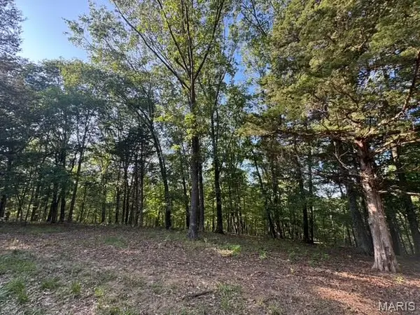 110 Steeple Point Dr. Lot # 14 Drive, Defiance, MO 63341