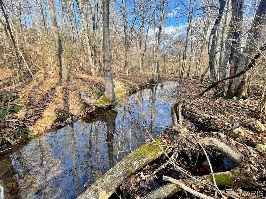 1220 Madison 450, Twelvemile, MO 63964 - Image #2