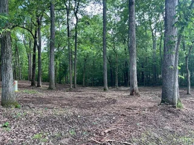 41 Parc Forest Trail, Hawk Point, MO 63349 - Image #2