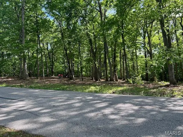 41 Parc Forest Trail, Hawk Point, MO 63349 - Image #3