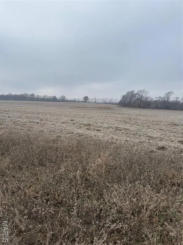 00 County Road 659, Dexter, MO 63841