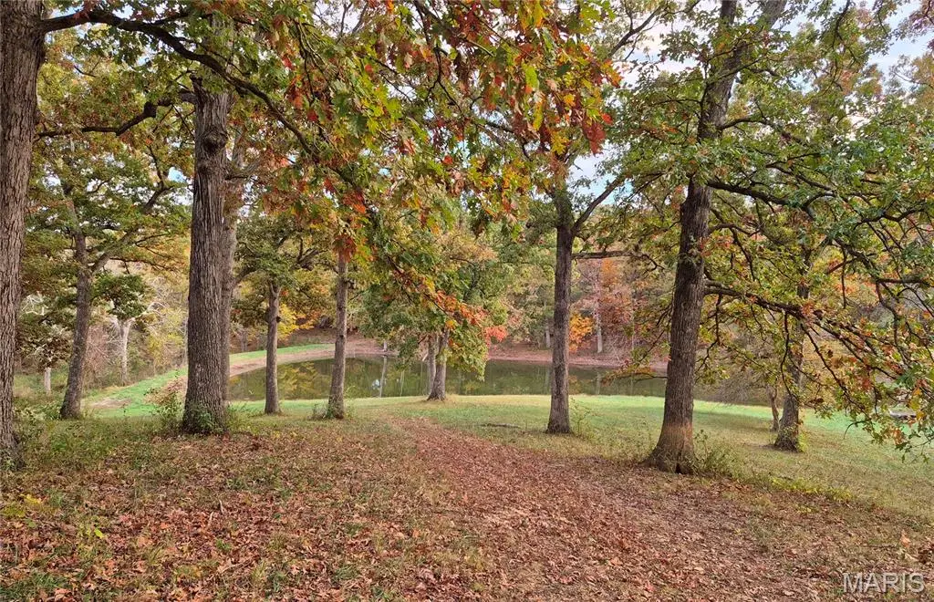 0 Highway D (15+/- Acres) Tract 11, Eolia, MO 63344 - Image #1