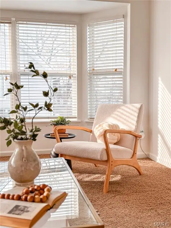 570 Sandra Way, Winfield, MO 63389 - Image #3